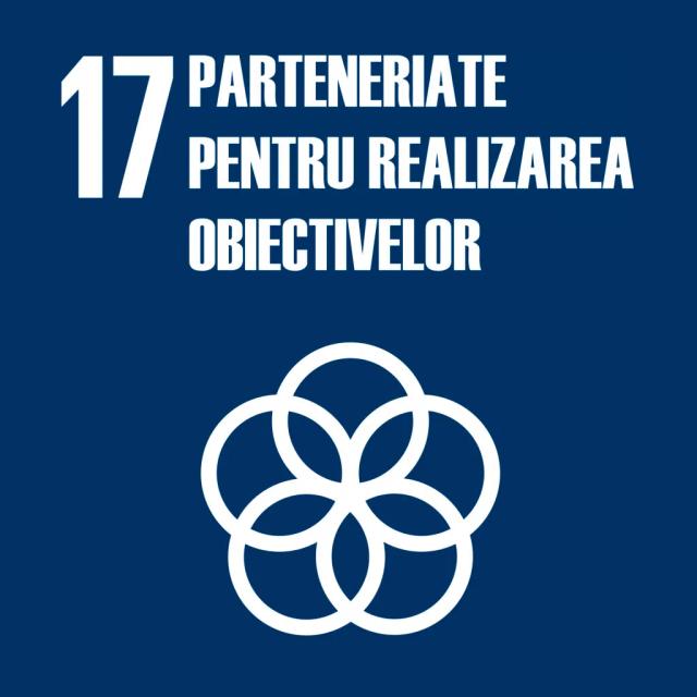 Obiectivul de dezvoltare durabila 17