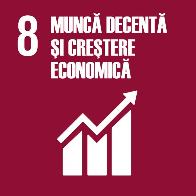 Obiectivul de dezvoltare durabila 8