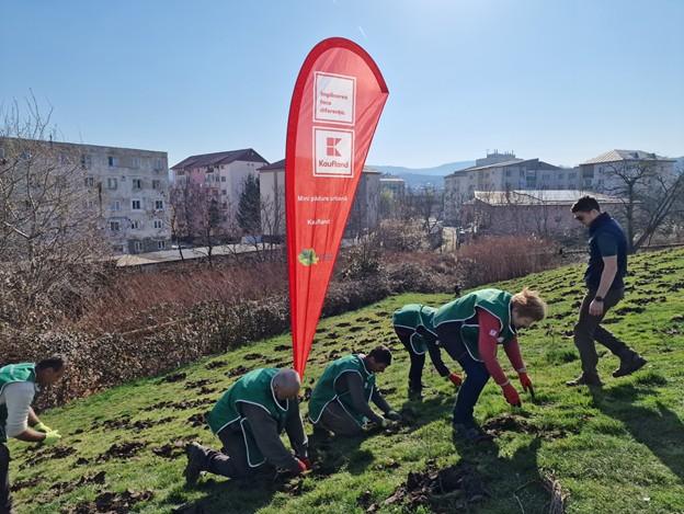 Mini-păduri urbane