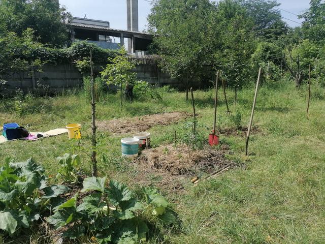 Grădinarii comunitari